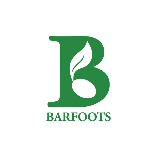 Barfoots of Botley logo