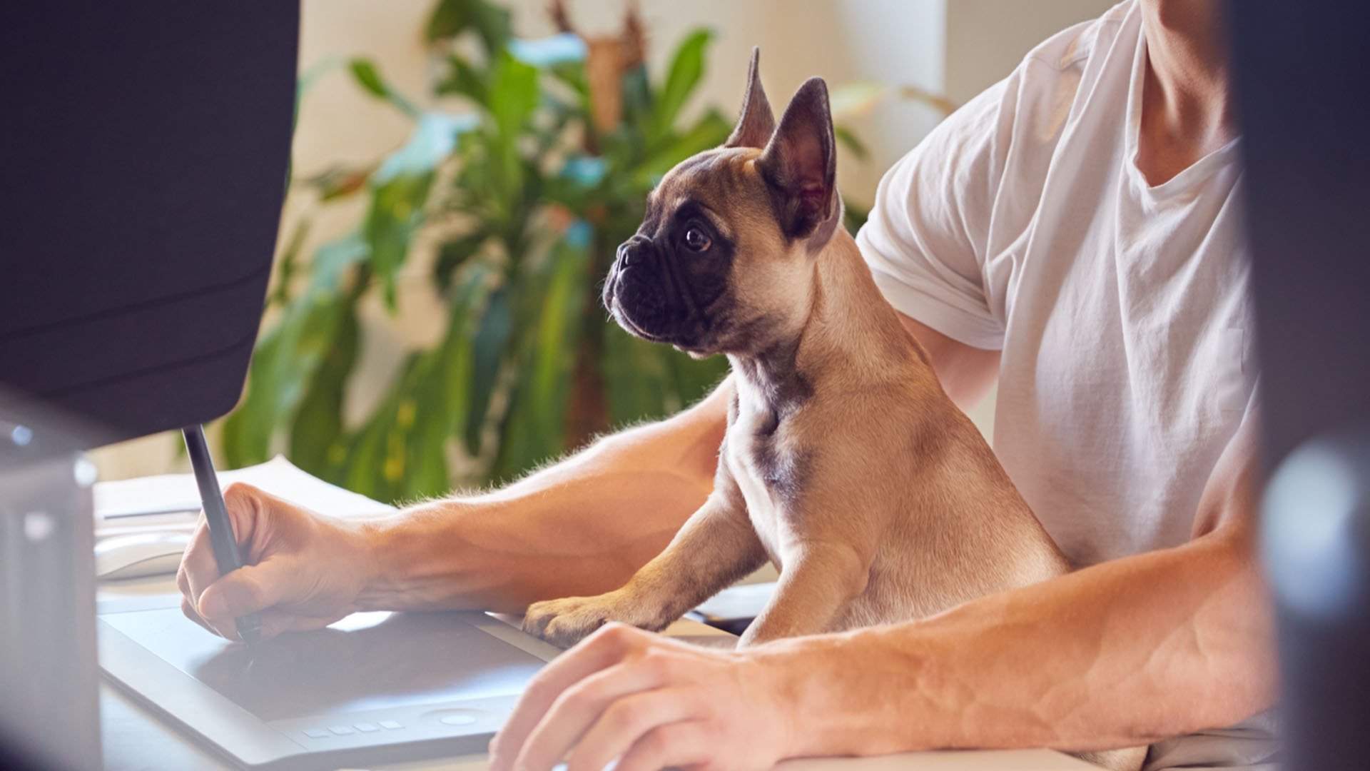 Meet our Barketing Executive Betty