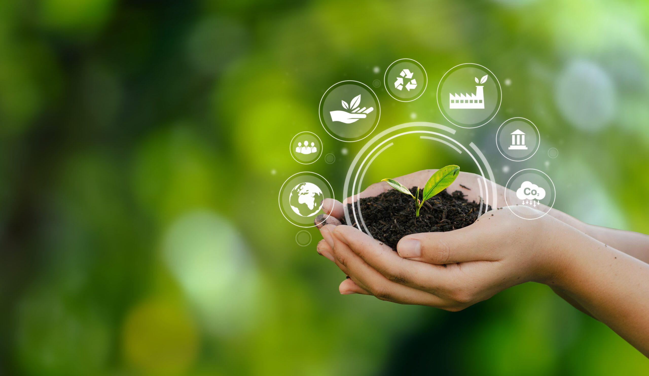 Efficiency & Sustainability