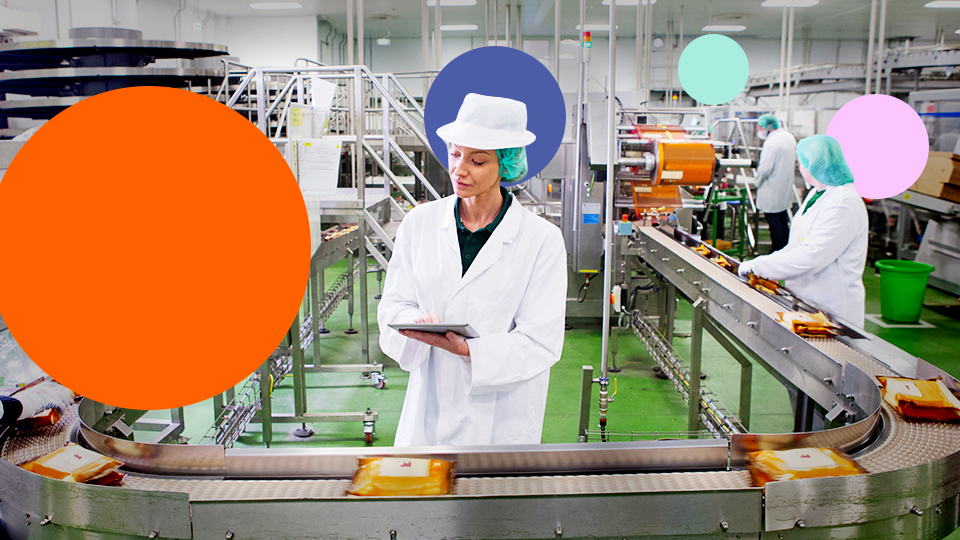 Food manufacturing production line inspection with tablet-based quality checks