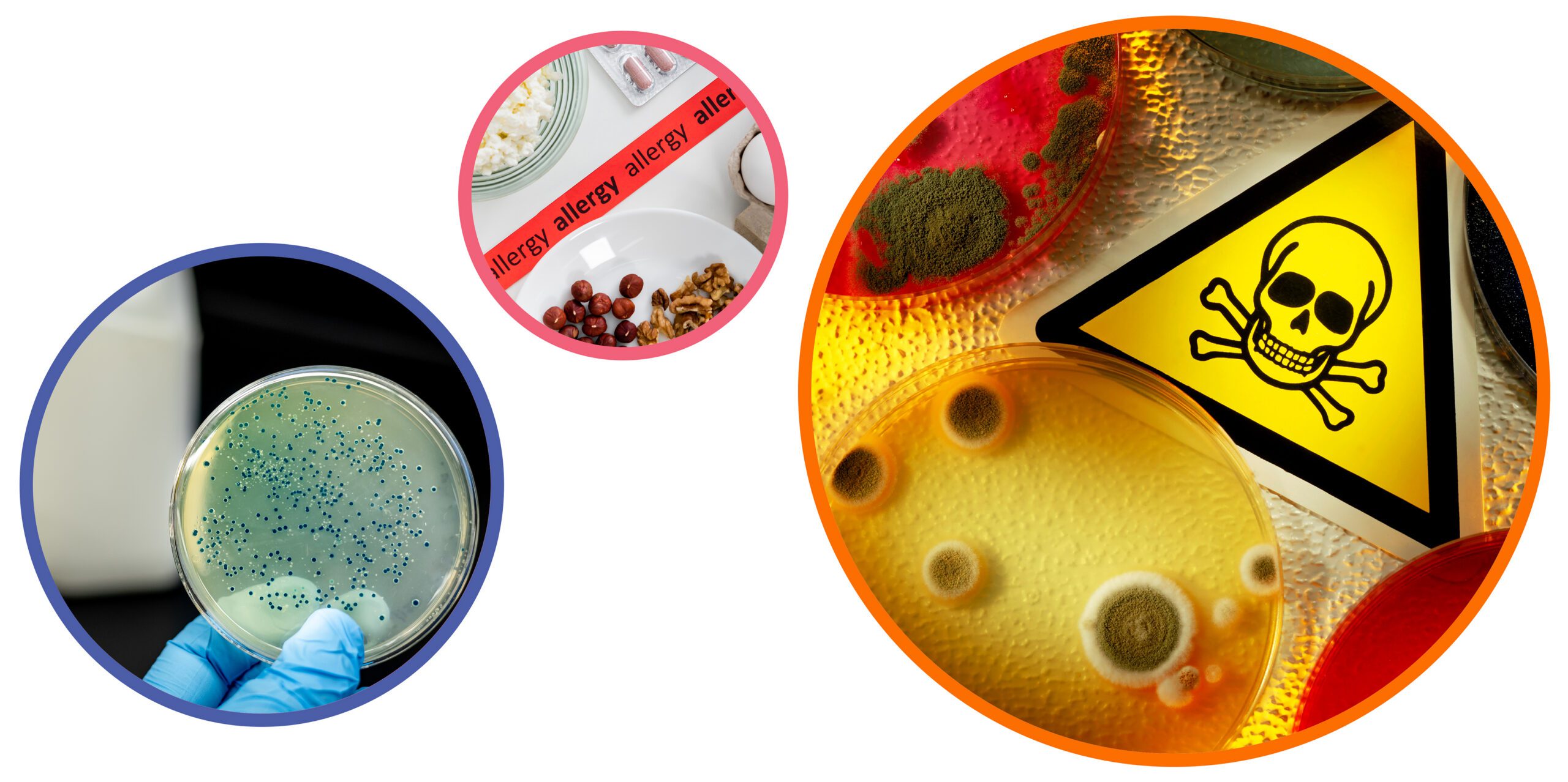 Food safety risks in manufacturing including microbial contamination, allergens, and hazardous substances